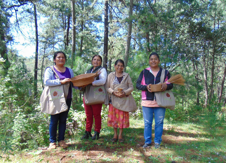 Ita Nuyuxe: mujeres mixtecas crean hermosos objetos a partir de las hojas de pino - Consejo ...