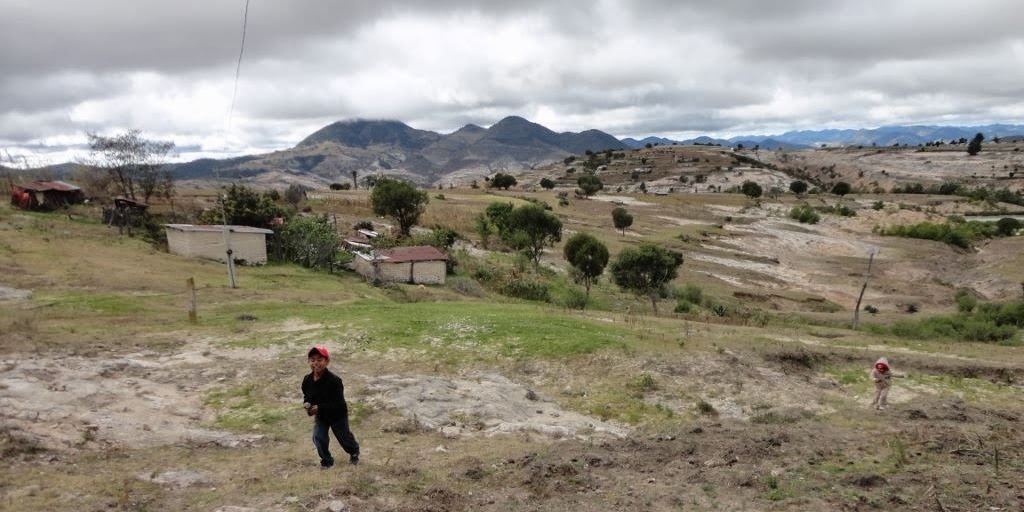 comunidades restauracion tierras bosque mexico