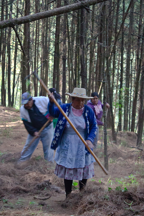 mujer brigadista-mujeres genero bosques-archivo ccmss