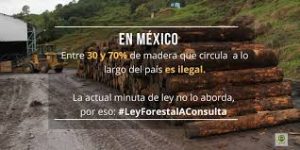 #LeyForestalAConsulta - Consejo Civil Mexicano para la Silvicultura Sostenible