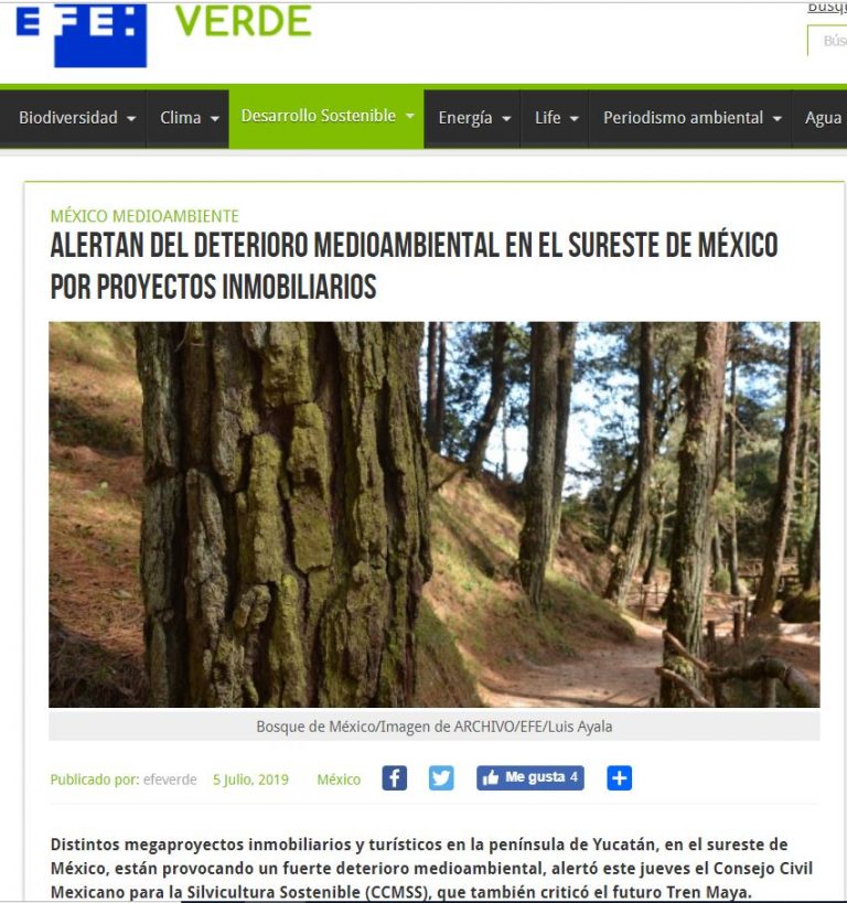 Alertan del deterioro medioambiental en el sureste de México por proyectos inmobiliarios ...
