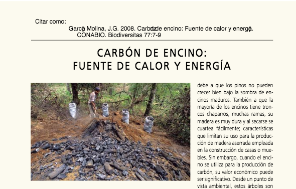 Carbón de encino; fuente de calor y energía - Consejo Civil Mexicano para la Sivilcultura Sotenible