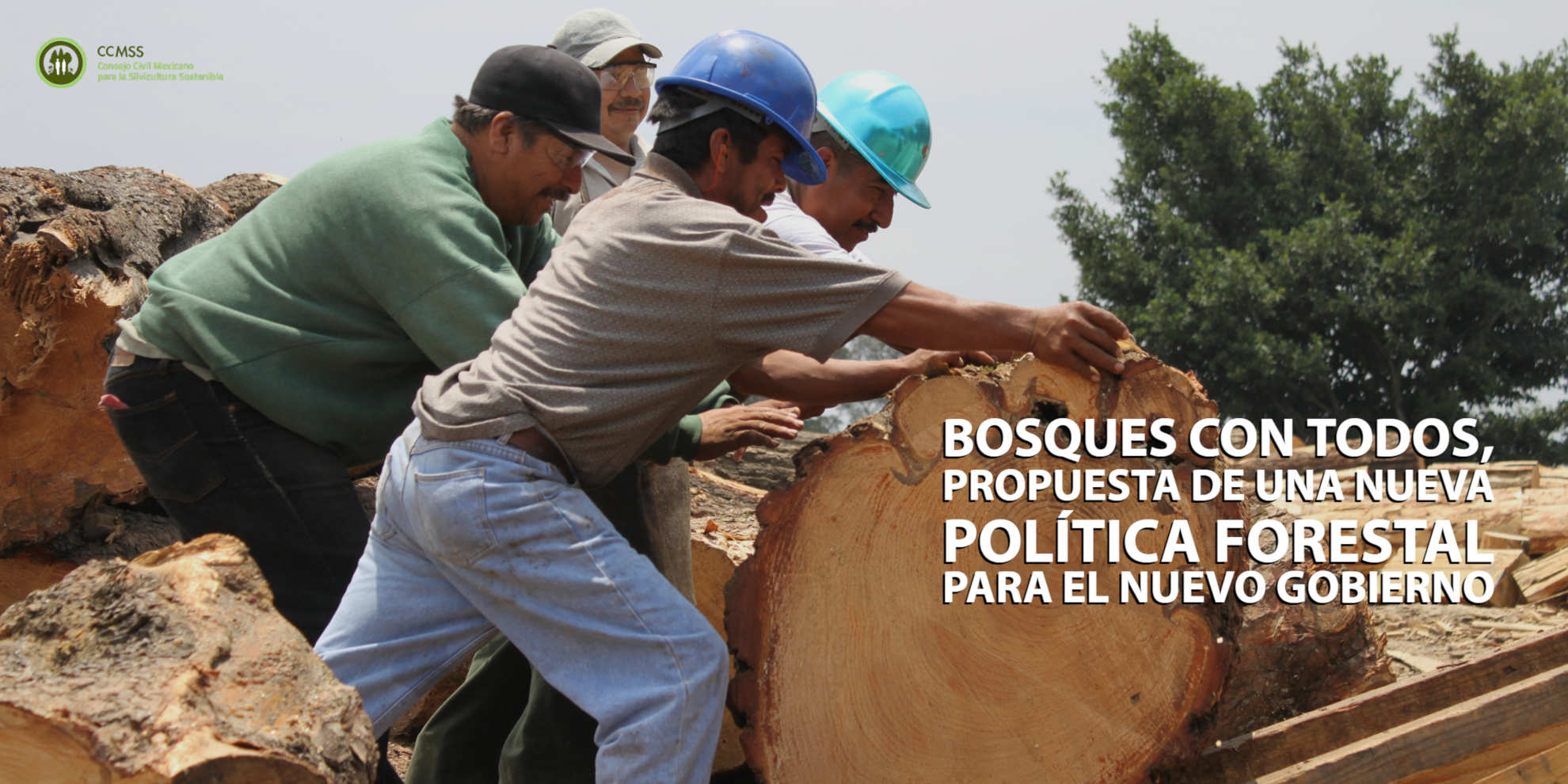 Bosques con todos - Consejo Civil Mexicano para la Sivilcultura Sotenible