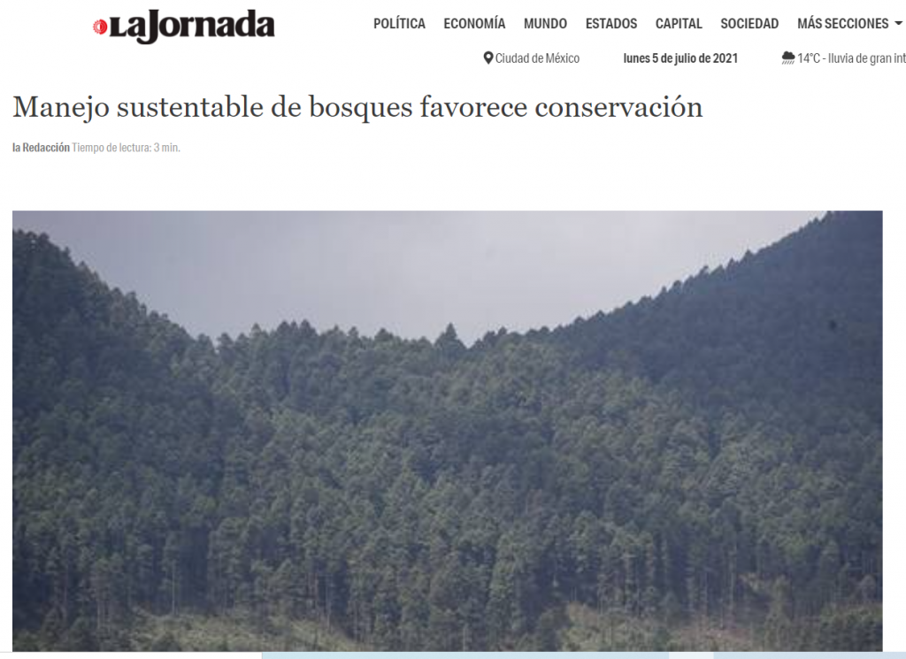 Manejo sustentable de bosques favorece conservación - Consejo Civil Mexicano para la ...