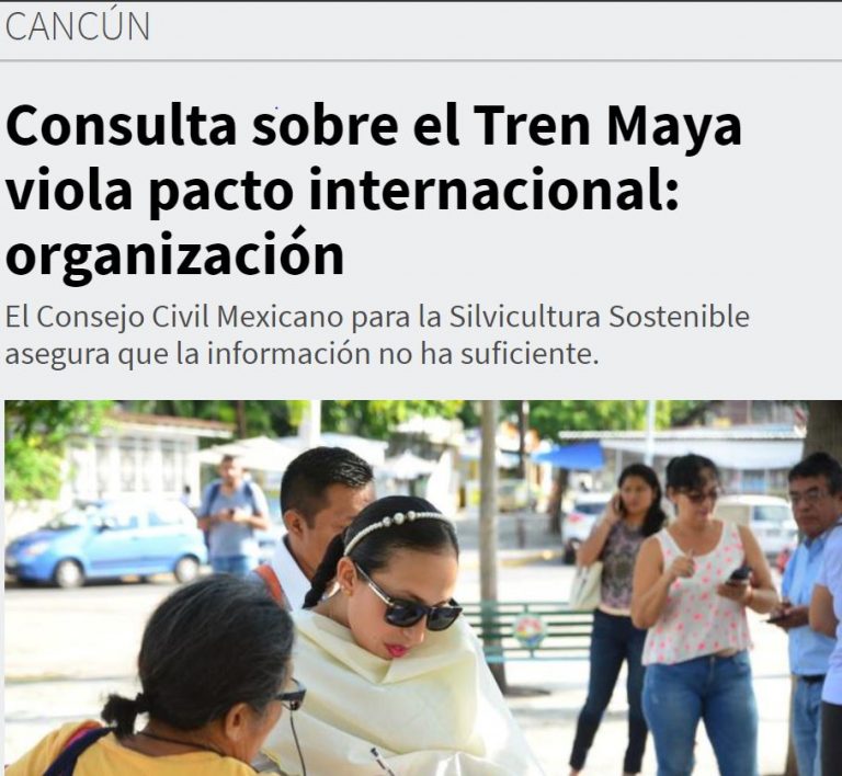 Consulta sobre el Tren Maya viola pacto internacional: organización - Consejo Civil Mexicano ...
