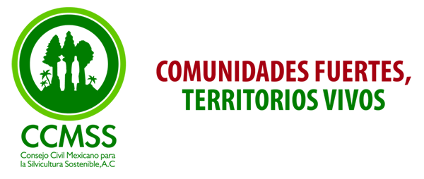 Consejo Civil Mexicano para la Silvicultura Sostenible