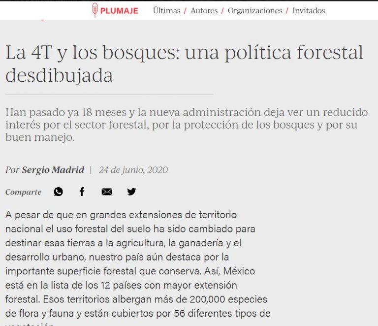 La 4T y los bosques: una política forestal desdibujada - Consejo Civil Mexicano para la ...