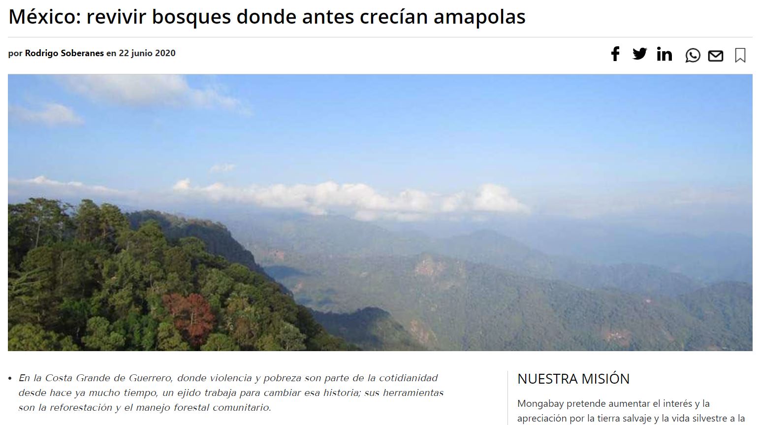M\u00e9xico: revivir bosques donde antes crec\u00edan amapolas - Consejo Civil Mexicano para la ...
