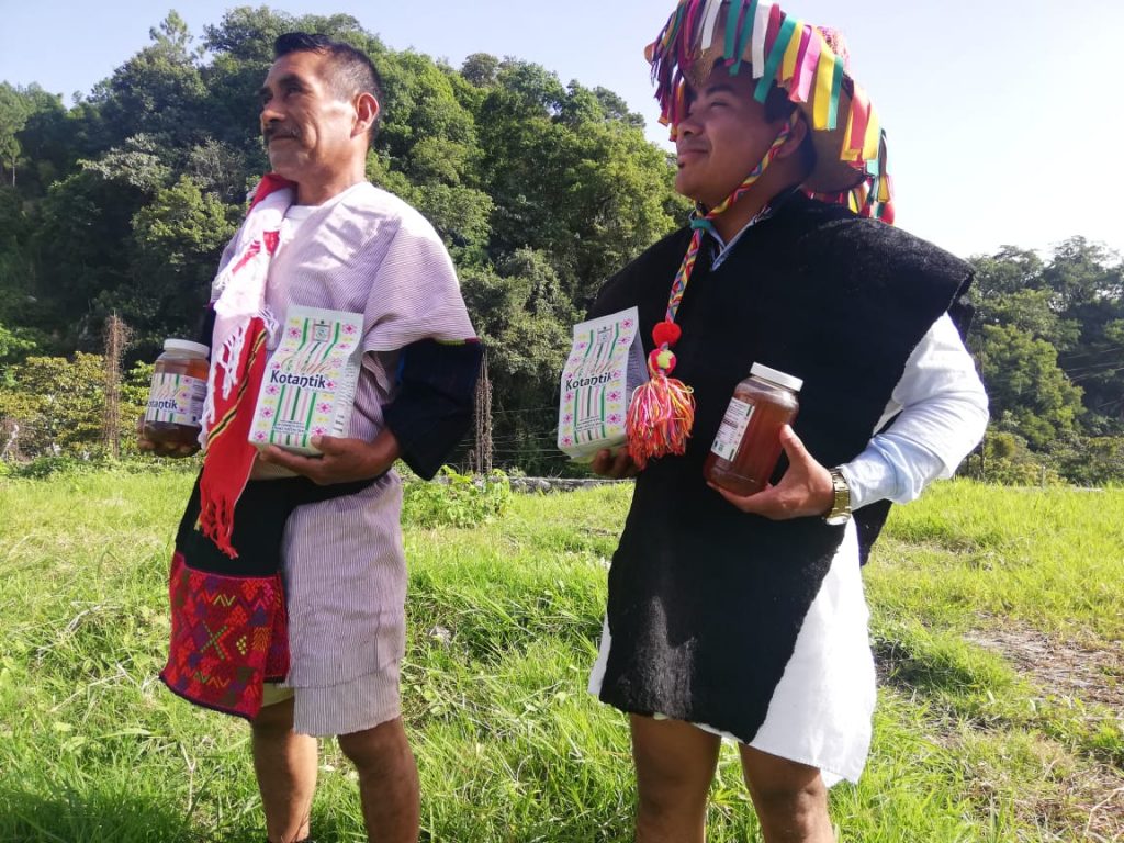 Cooperativa Tzeltal Tzotzil: café y miel desde Los Altos de Chiapas - Consejo Civil Mexicano ...