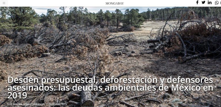 Desdén presupuestal, deforestación y defensores asesinados: las deudas ambientales de México en ...