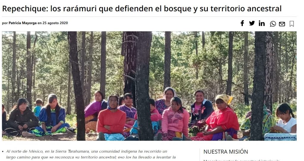 Repechique: los rarámuri que defienden el bosque y su territorio ancestral - Consejo Civil ...