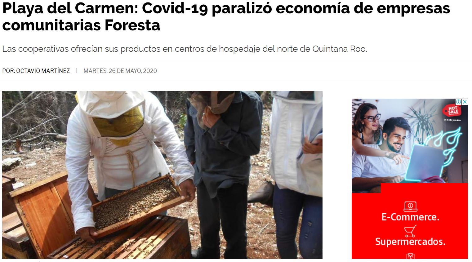 Playa del Carmen: Covid-19 paralizó economía de empresas comunitarias Foresta - Consejo Civil ...